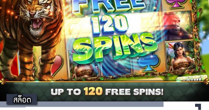 Slot live all time !! แจกแหลกโบนัสแตกทุกวัน สปินได้ทุกเวลา